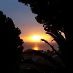 Da Angiolina
