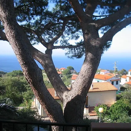 Da Angiolina *