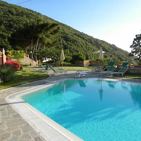 Da Angiolina 马尔恰纳