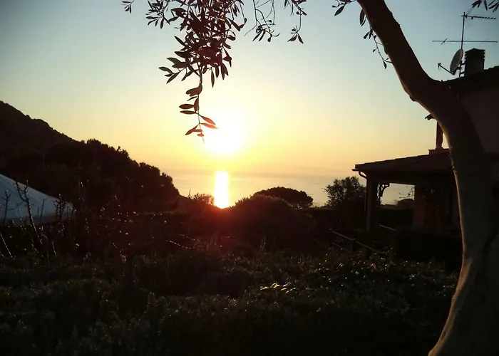 Da Angiolina Marciana (Isola d'Elba)